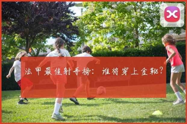 法甲最佳射手榜：谁将穿上金靴？